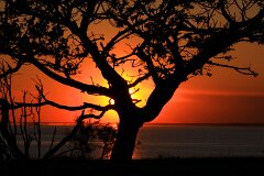 13: IMG_1538_ed