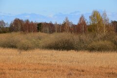 23: IMG_5723_ed