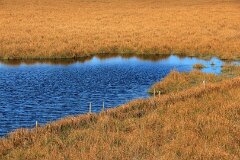 22: IMG_5727_ed