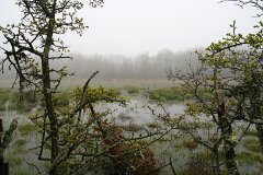 12: IMG_6910_ed