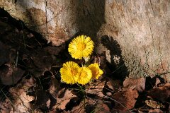 1: IMG_7122_edited