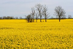 3: IMG_7576_edit2
