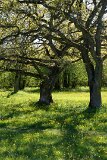 8: IMG_7669_edit