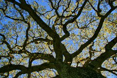9: IMG_7676_edit2