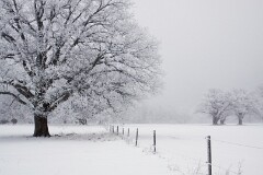 1: IMG_0328_ed4-r