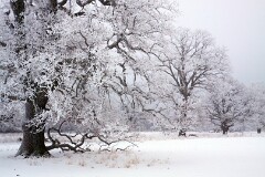 7: IMG_0341_ed2