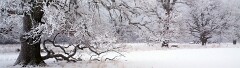 9: IMG_0341_ed2_5120