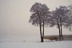 3: IMG_0386_ed3